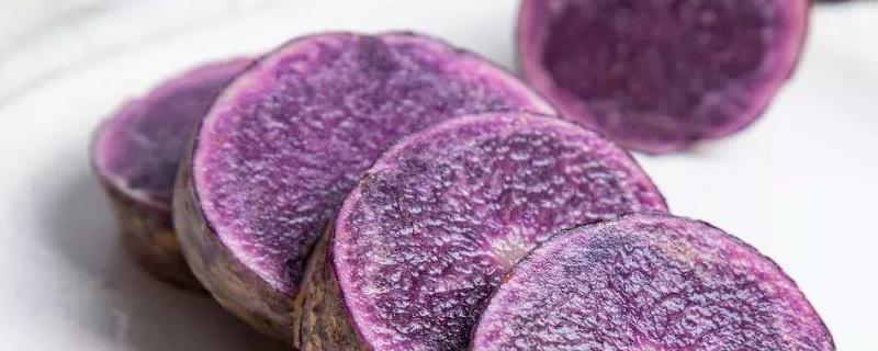 紫色马铃薯（紫色马铃薯和普通马铃薯营养一样吗）