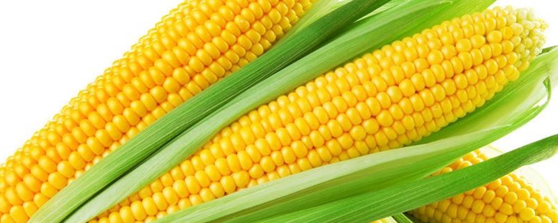 玉米几个叶打除草剂 玉米几个叶打除草剂?