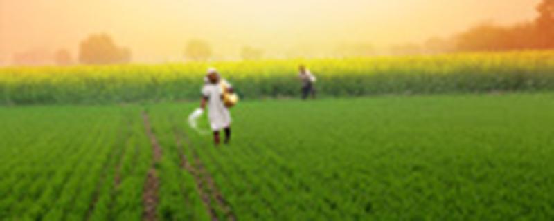 灌溉农业和绿洲农业的区别 绿洲农业与灌溉农业的共同之处
