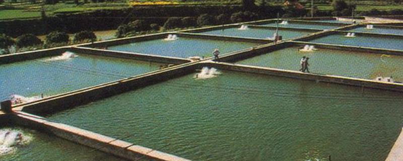 淡水养殖，附生产方式（淡水养殖技术）
