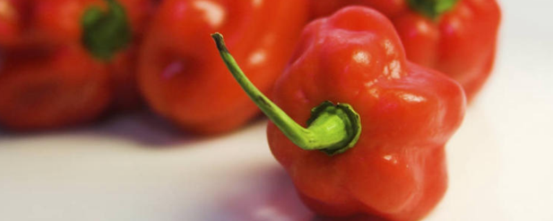 红甜椒可不可以生吃，怎么做好吃 生的甜椒可以吃吗