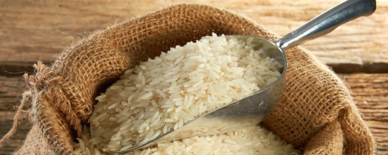 大米批发价多少钱一斤 大米批发价格一斤多少