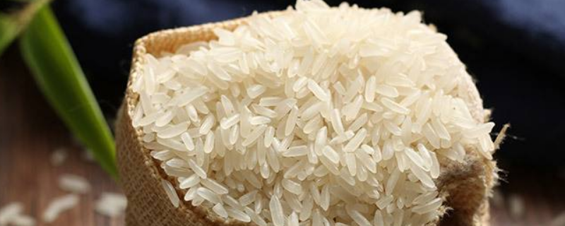 粳米和籼米有什么不同，附详细介绍（籼米与粳米区别）