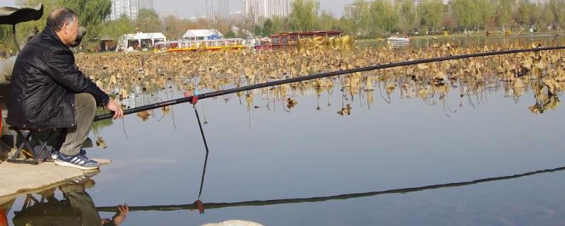 用什么线组钓鲶鱼（用什么线组钓鲶鱼好）