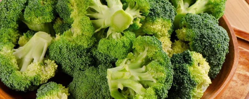 西兰花被称作“蔬菜皇冠”的原因是什么，附其种植时间