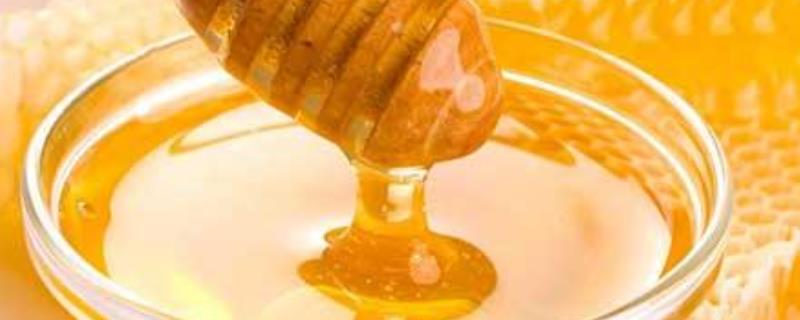椴树蜜好还是土蜂蜜好，附区别 土蜂蜜和椴树蜜哪个营养价值高