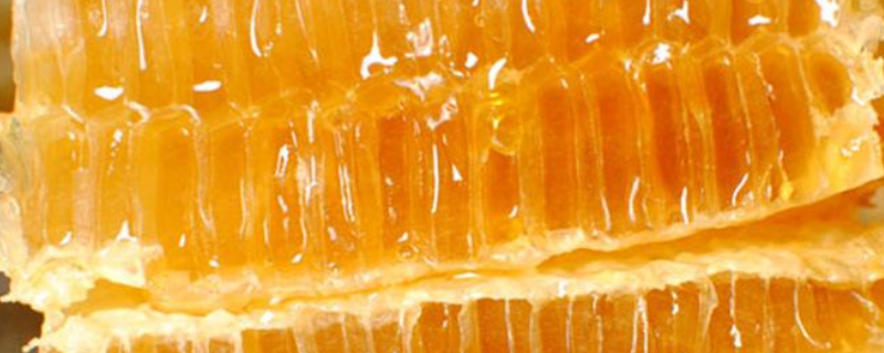 蜂巢蜜是怎么造假的，附生产工艺 假蜂蜜的蜂巢是怎么做出来的