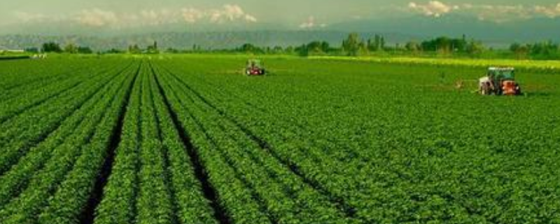 什么是农业产业化（什么是农业产业化?它有哪些具体形式?）