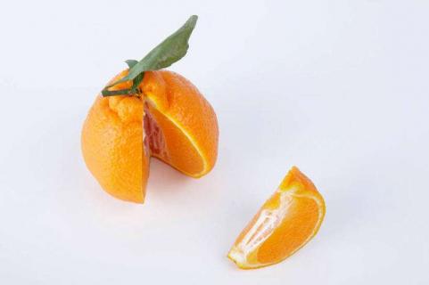 特早熟柑桔有哪些新品种 柑橘早熟品种有哪些