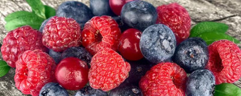 浆果类水果有哪些，什么是浆果 属于浆果类的水果