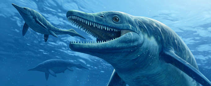 为什么鱼龙不是恐龙 为什么鱼龙不是恐龙后代