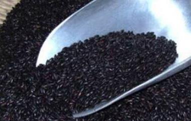黑香米的功效与作用 黑香米的功效与作用及营养价值