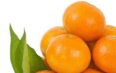 澳橘与普通橘子的区别（澳柑属于橘子吗）