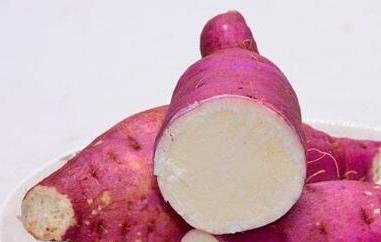 白心红薯的功效与作用 白心红薯的功效与作用减肥