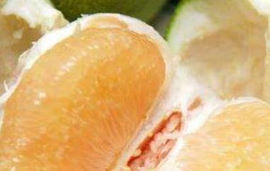 文旦柚和柚子的区别 柚子与文旦是一样吗?
