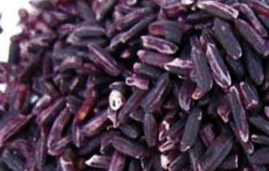 紫米的功效与作用 紫米的功效与作用及食用方法