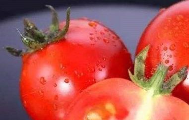 西红柿籽的功效与作用（西红柿籽有营养吗）