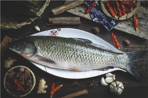 2021年养殖什么鱼最赚钱 2021年养鱼前景如何