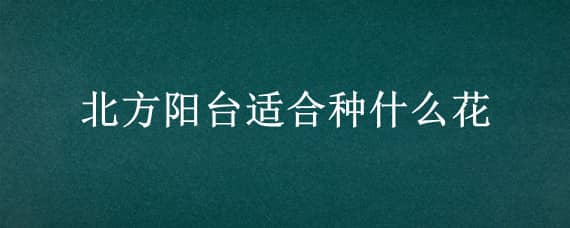 北方阳台适合种什么花（北方阳台适合种什么花卉）