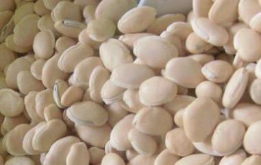 洋扁豆的功效与作用及禁忌 洋扁豆的功效与作用及禁忌症
