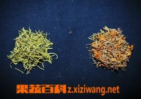 金银花与山银花的鉴别（金银花与山银花的鉴别方法）