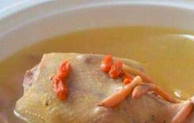 鸽子汤的功效与作用 鸽子汤的功效与作用小孩子可以汤