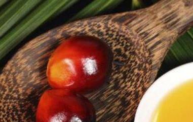 食用棕桐油的危害都有哪些 棕榈油有什么作用
