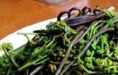 山蕨菜怎么做好吃 山蕨菜怎么做好吃窍门