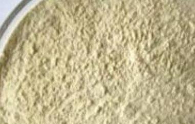 白芸豆粉的功效与作用 白芸豆粉的功效与作用是什么