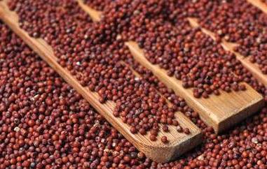 红粟米有什么营养价值 红粟米的作用与功效