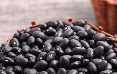 黑豆怎么吃黑发 黑豆黑发的吃法