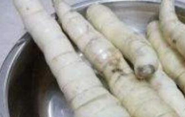 冬粉薯的功效与作用 冬粉薯的功效与作用禁忌
