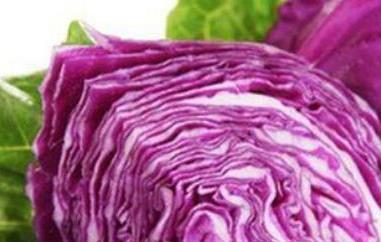 紫色包心菜的功效与作用（紫色包心菜的功效与作用禁忌）
