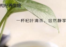 枸杞叶茶的功效 枸杞叶茶的功效与作用及食用方法