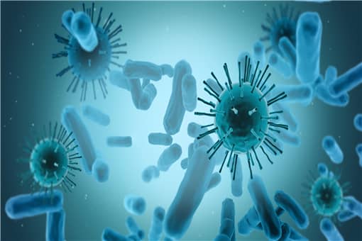 炭疽病具体是什么病 炭疽病具体是什么病毒