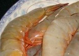 海虾的营养价值 海参和海虾的营养价值