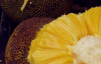 木菠萝的营养价值和功效 木菠萝的营养成分
