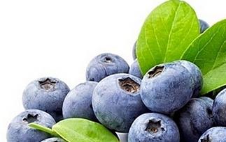 蓝莓的营养价值与功效作用 蓝莓的营养价值和功效与作用