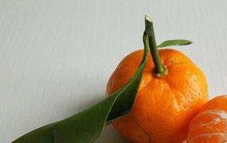 芦柑和橘子的区别（芦柑和橘子的区别图片）