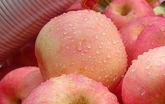 苹果不能和什么一起吃 苹果不能和什么一起吃香哈菜谱