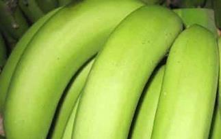 如何鉴别催熟香蕉（香蕉怎么看是不是催熟）