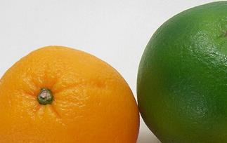 柑橘类水果图片（柑橘类水果图片大全）