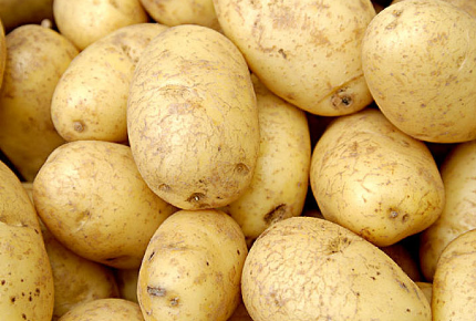 土豆早栽技术技巧，土豆怎么施肥 土豆早栽技术技巧,土豆怎么施肥视频