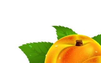 黄桃的营养价值和食疗功效 黄桃的营养价值和食疗功效是什么
