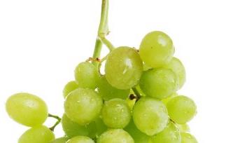 葡萄酒营养价值和医疗保健作用 葡萄酒的营养价值和保健作用