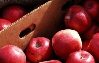 苹果的减肥功效 苹果的减肥功效是什么