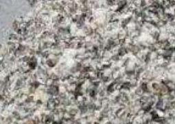 棉籽壳是什么 棉籽壳是什么样子