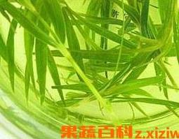竹子叶泡水喝的功效与作用 竹子叶泡水喝的功效与作用禁忌