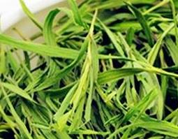 中草药淡竹叶的功效与作用 中草药淡竹叶的功效与作用及禁忌