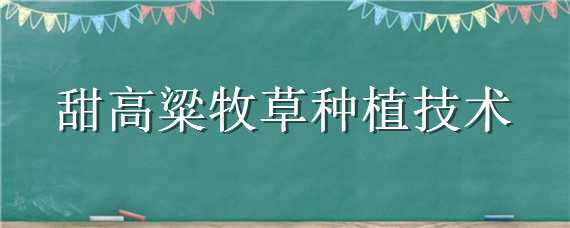 甜高粱牧草种植技术 甜高粱牧草种植技术和方法